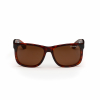 Lord's Sunglasses Nectar Brown