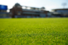 Lord's Turf